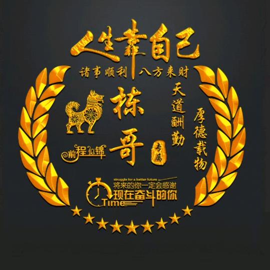 💰   漂   泊   的   人