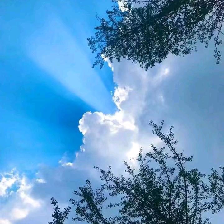 迷牛过儿