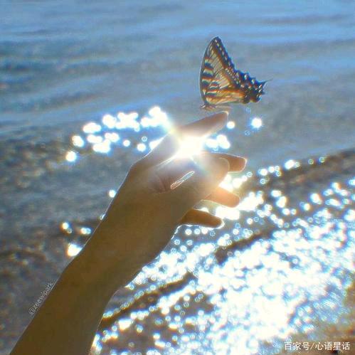 ღ᭄幸运星🦋꧔ꦿ᭄💞