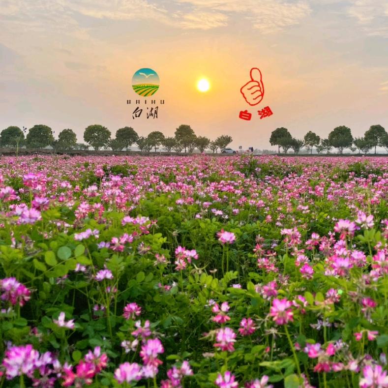 云水禅心