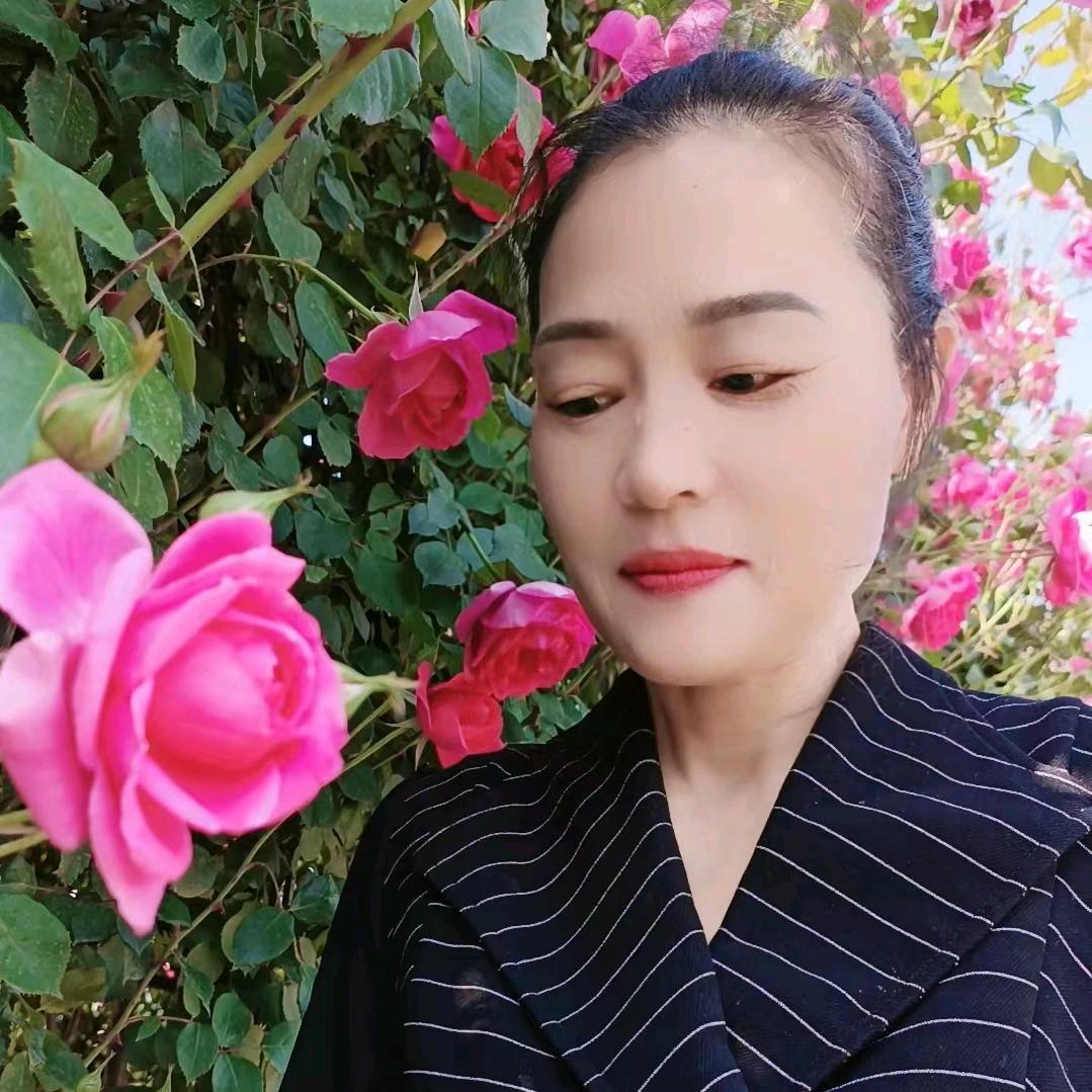@小粽子姥姥—橱窗好物