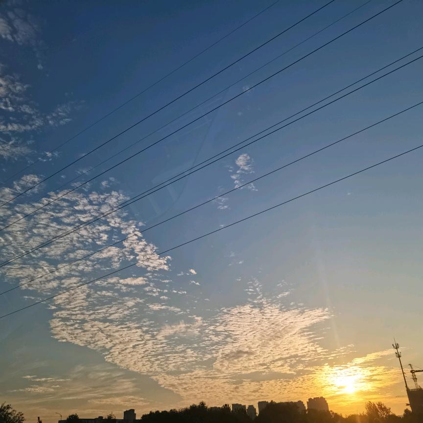 东北烧烤小院东北烧烤小院