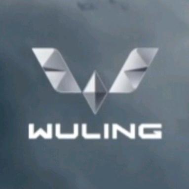 延安菱通汽车销售服务有限公司