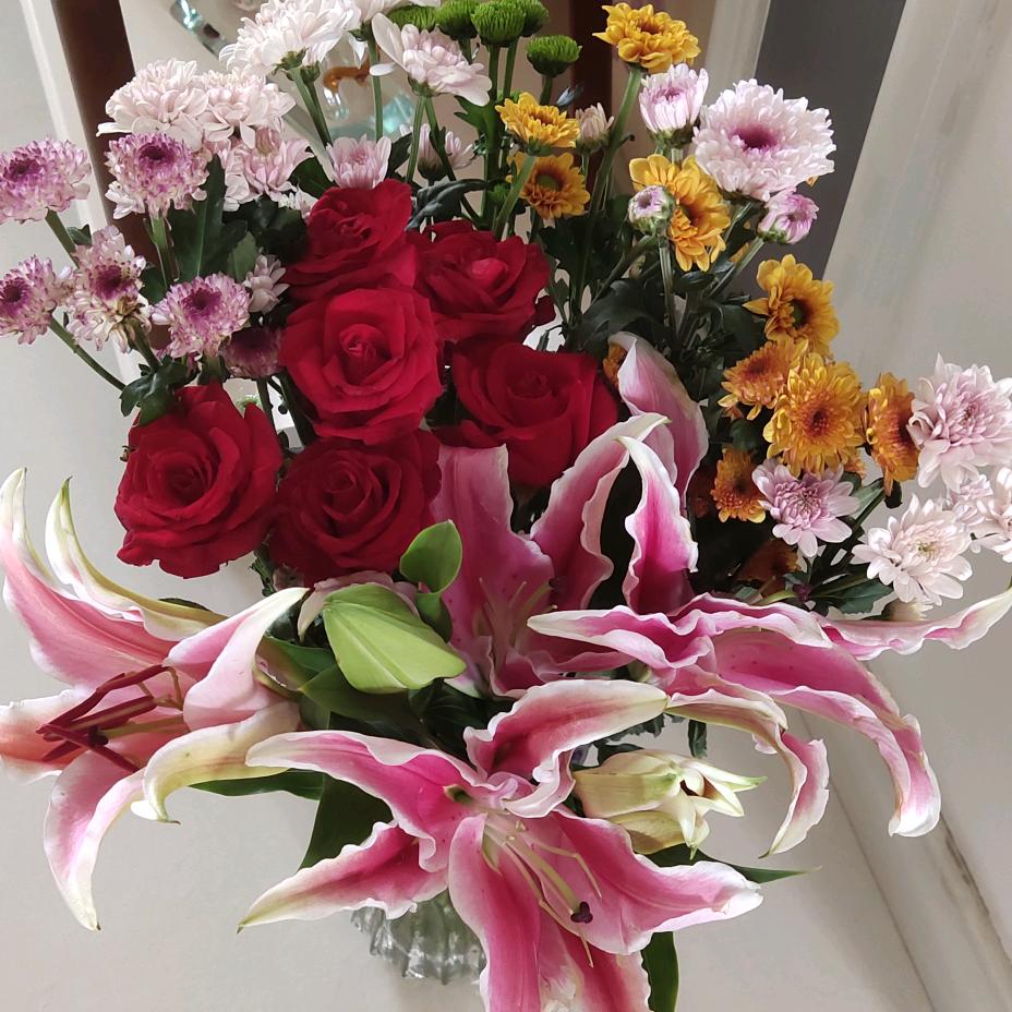 菲儿☞