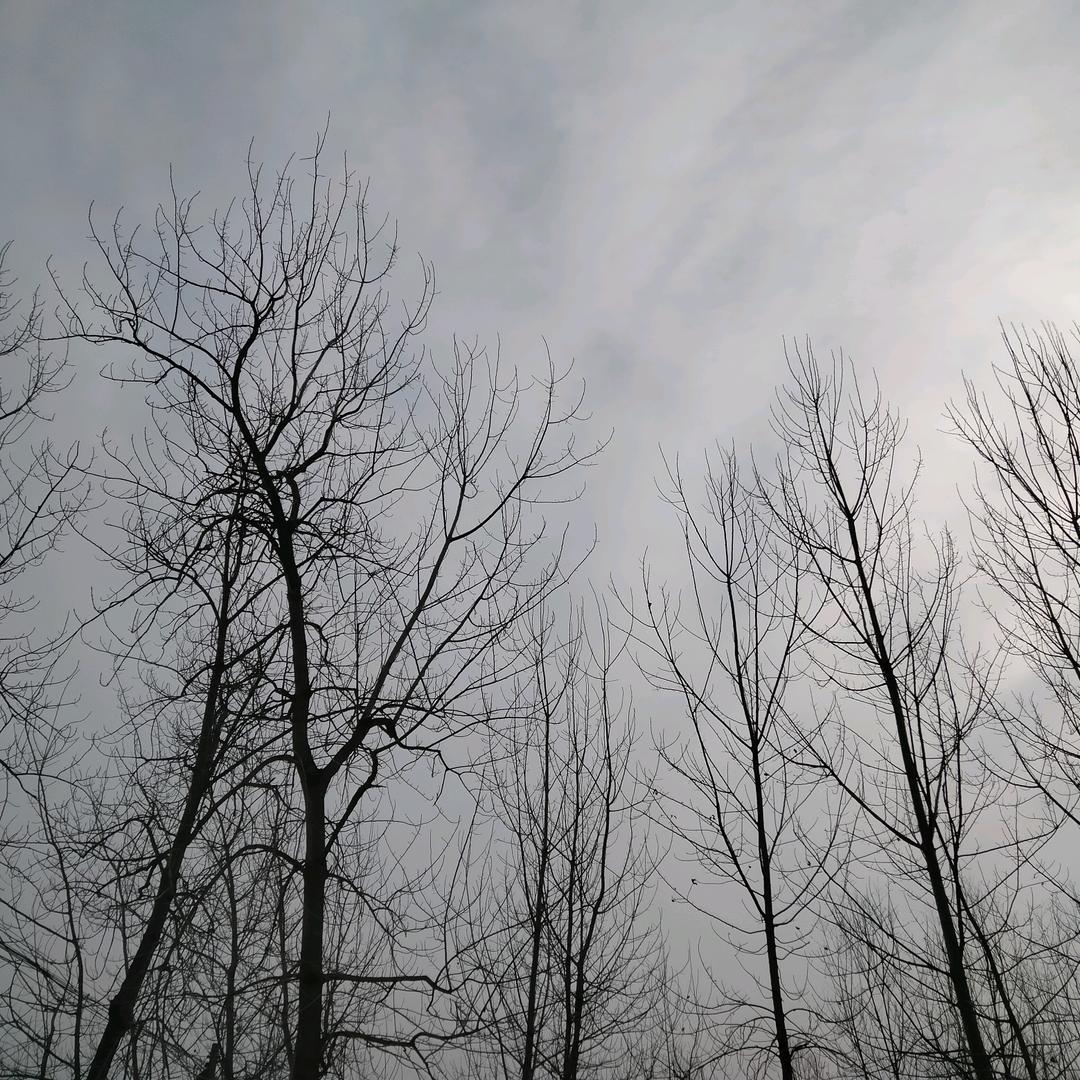 沉默专业程包粉刷