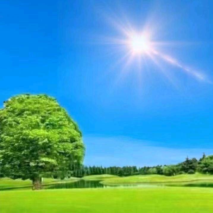 护坡石