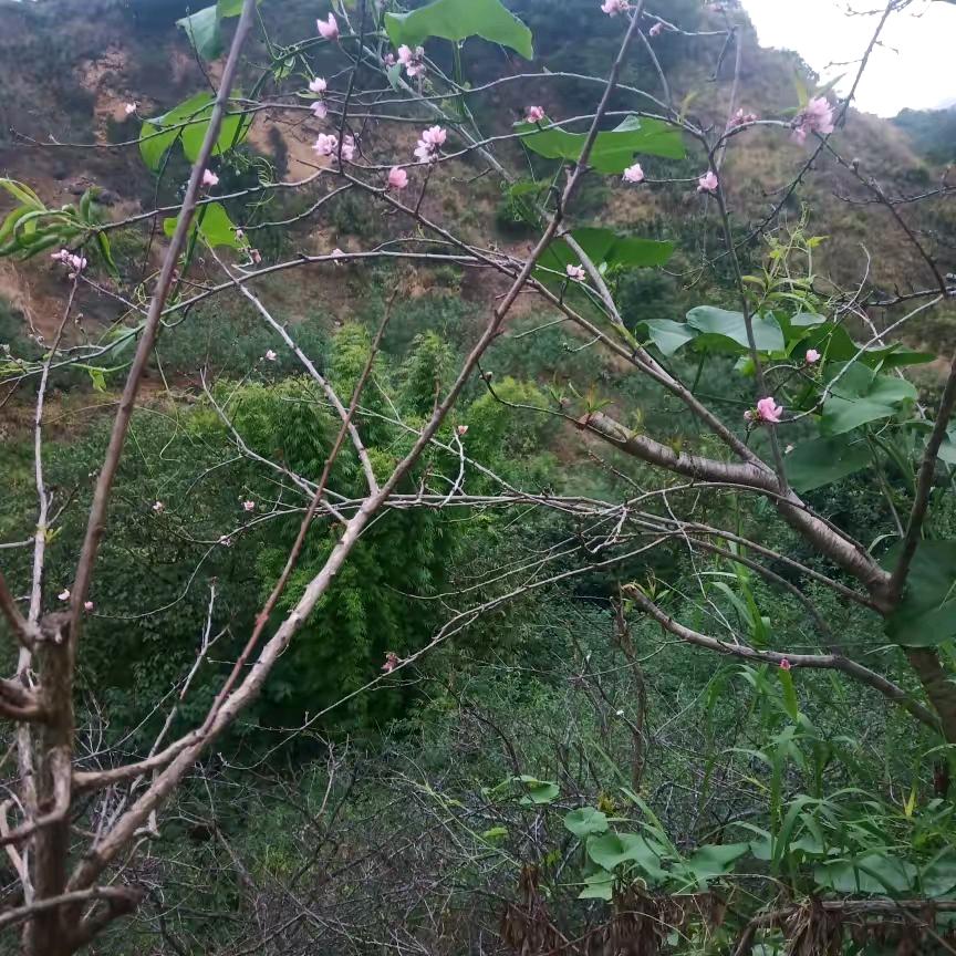 好人一生身平安