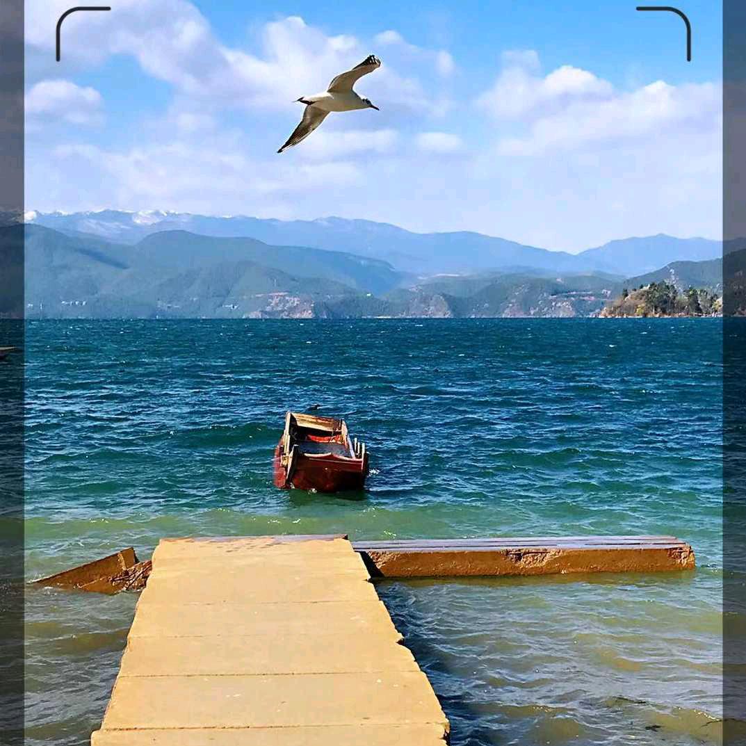 流浪的三三