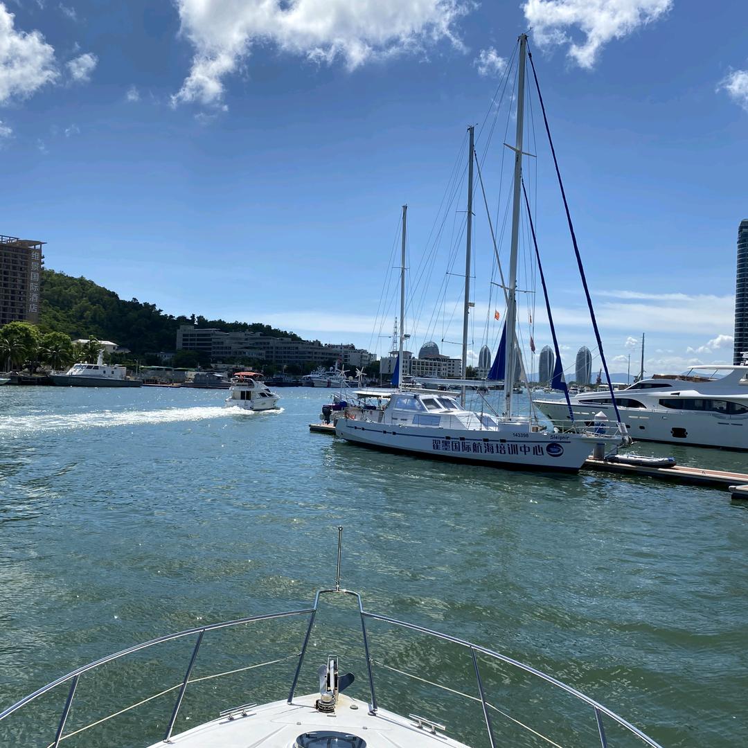 参泰润和中药材