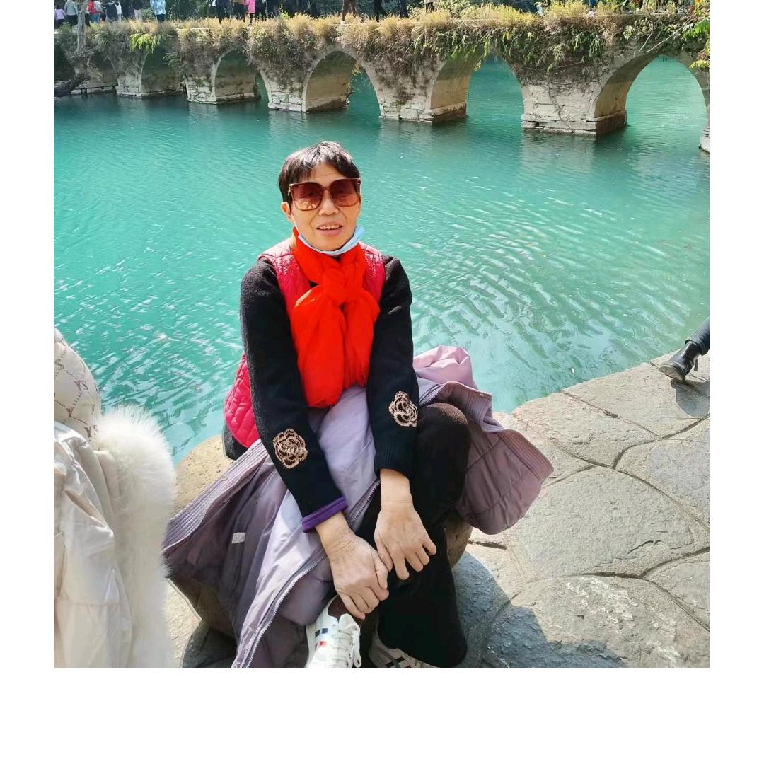 芝