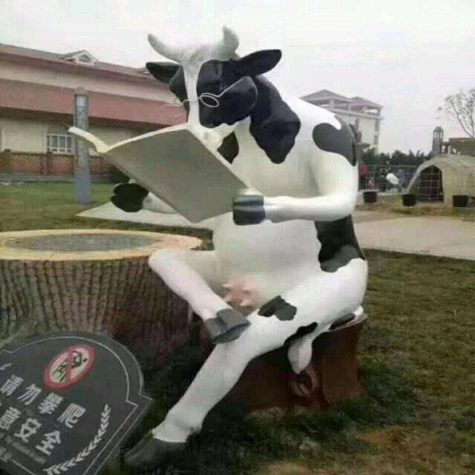 牛羊养殖常老师