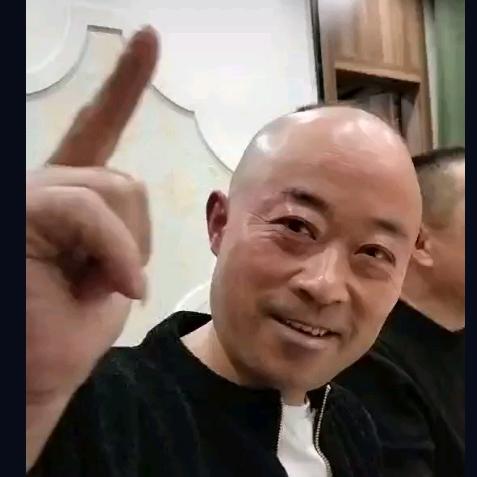 一品天下斗鸡 金蝉 老鹅馆