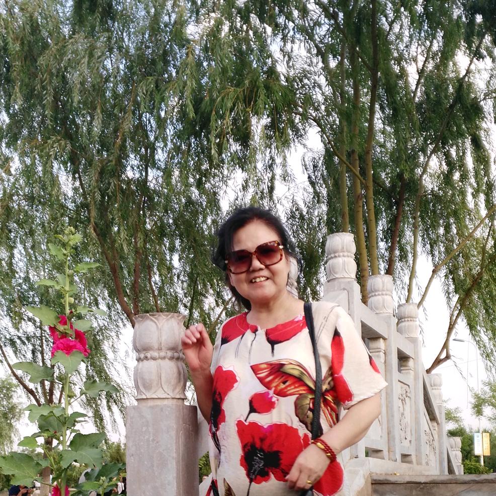冬天绿叶