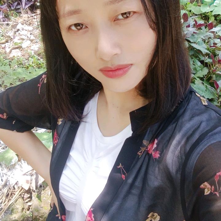 梅花Q