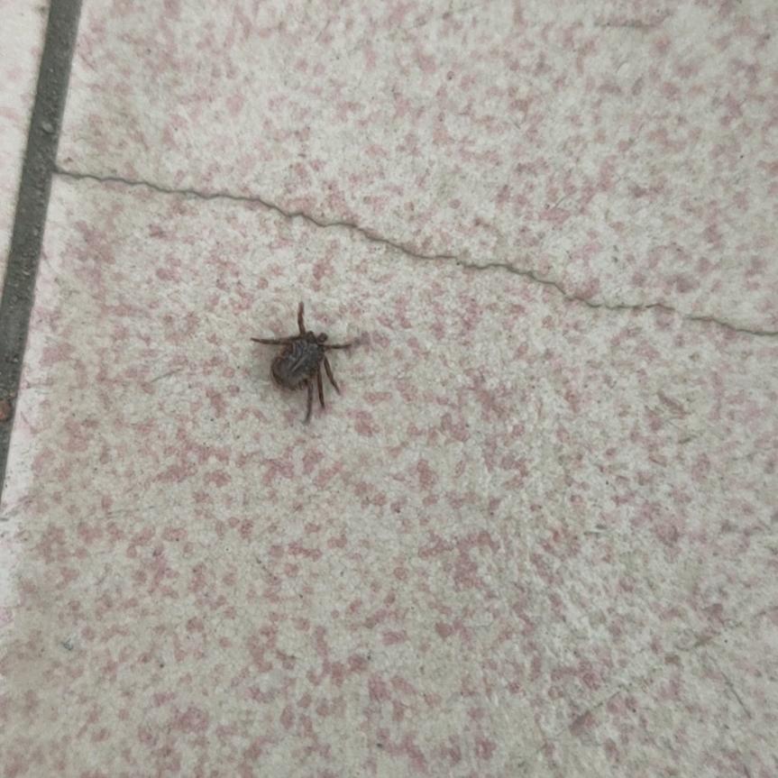 营销产品