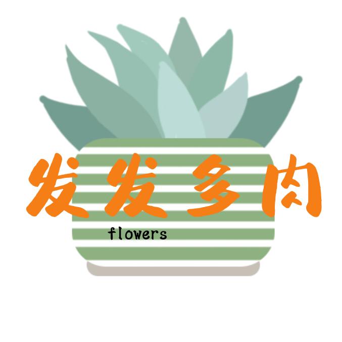 发发多肉