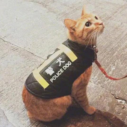 潼阳阳