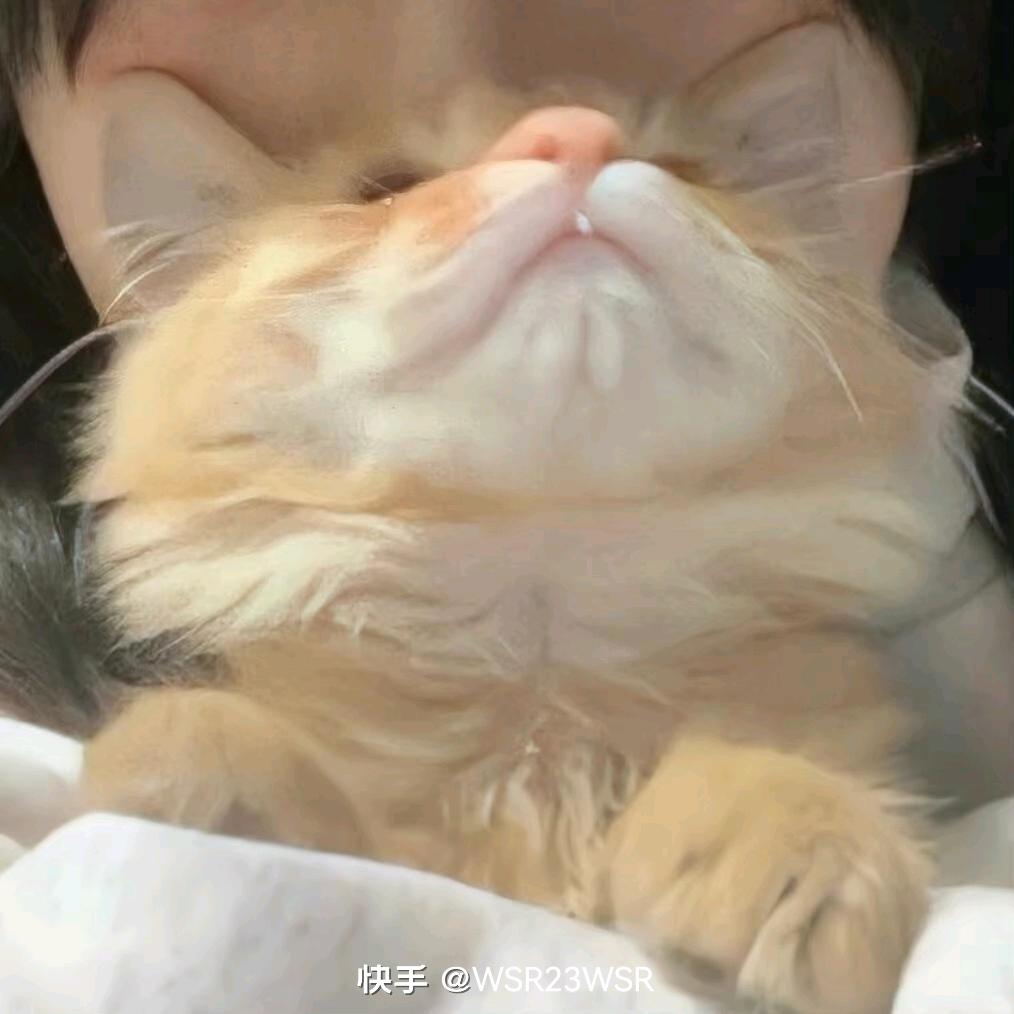 看不到月亮.