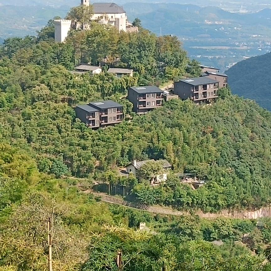 冬夏常青