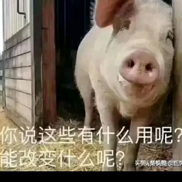 落雨陈腸