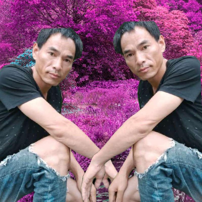农村喜哥