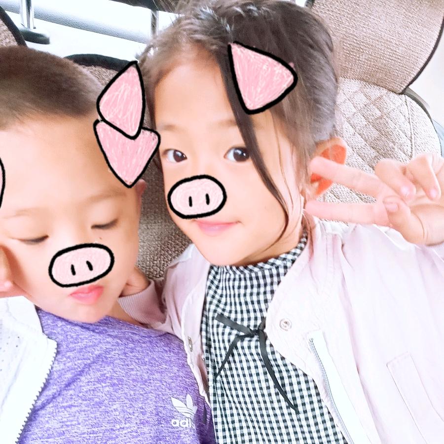 鑫鑫宝贝