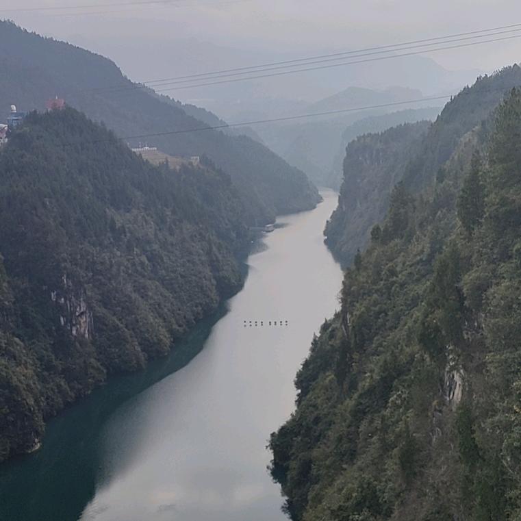李志