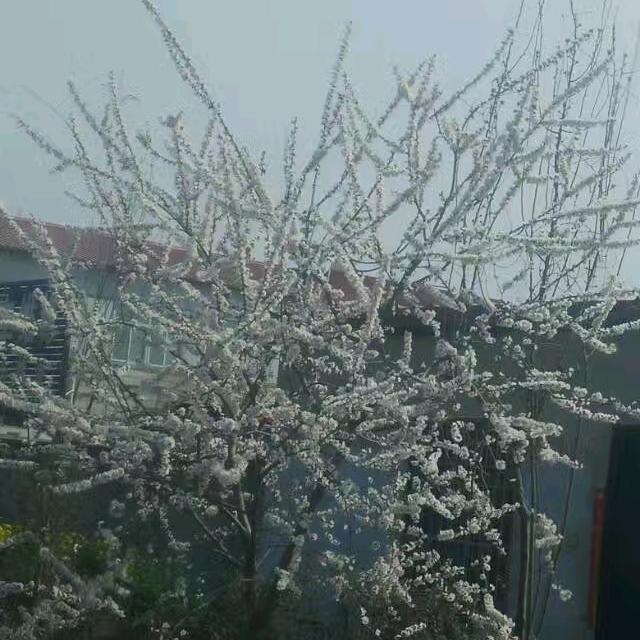 宏伟