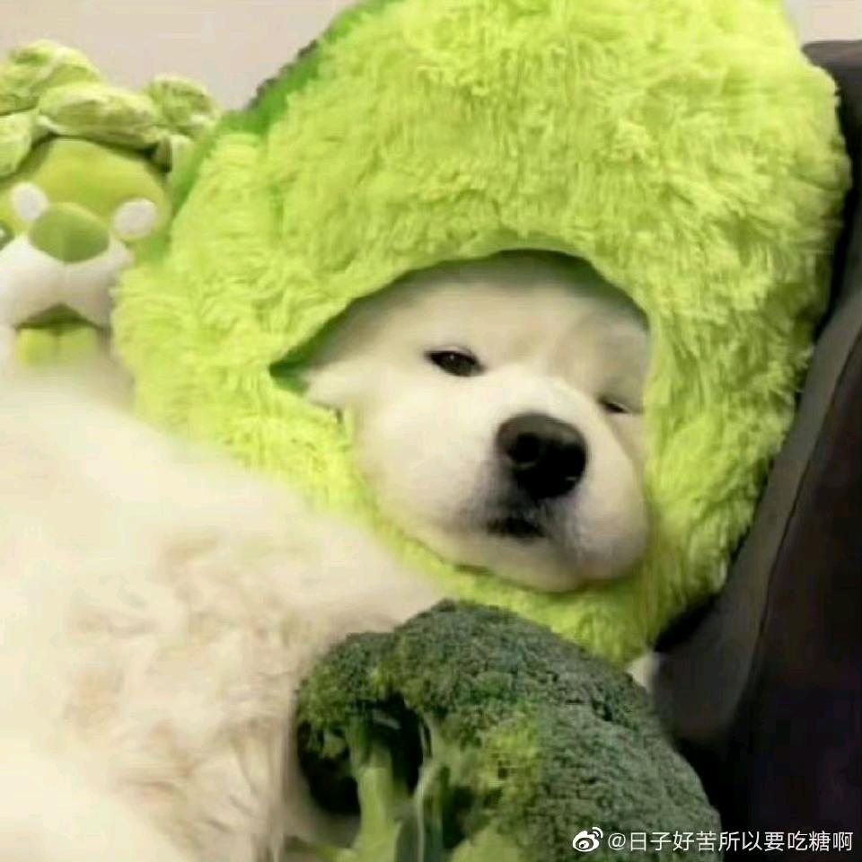 彤大王。