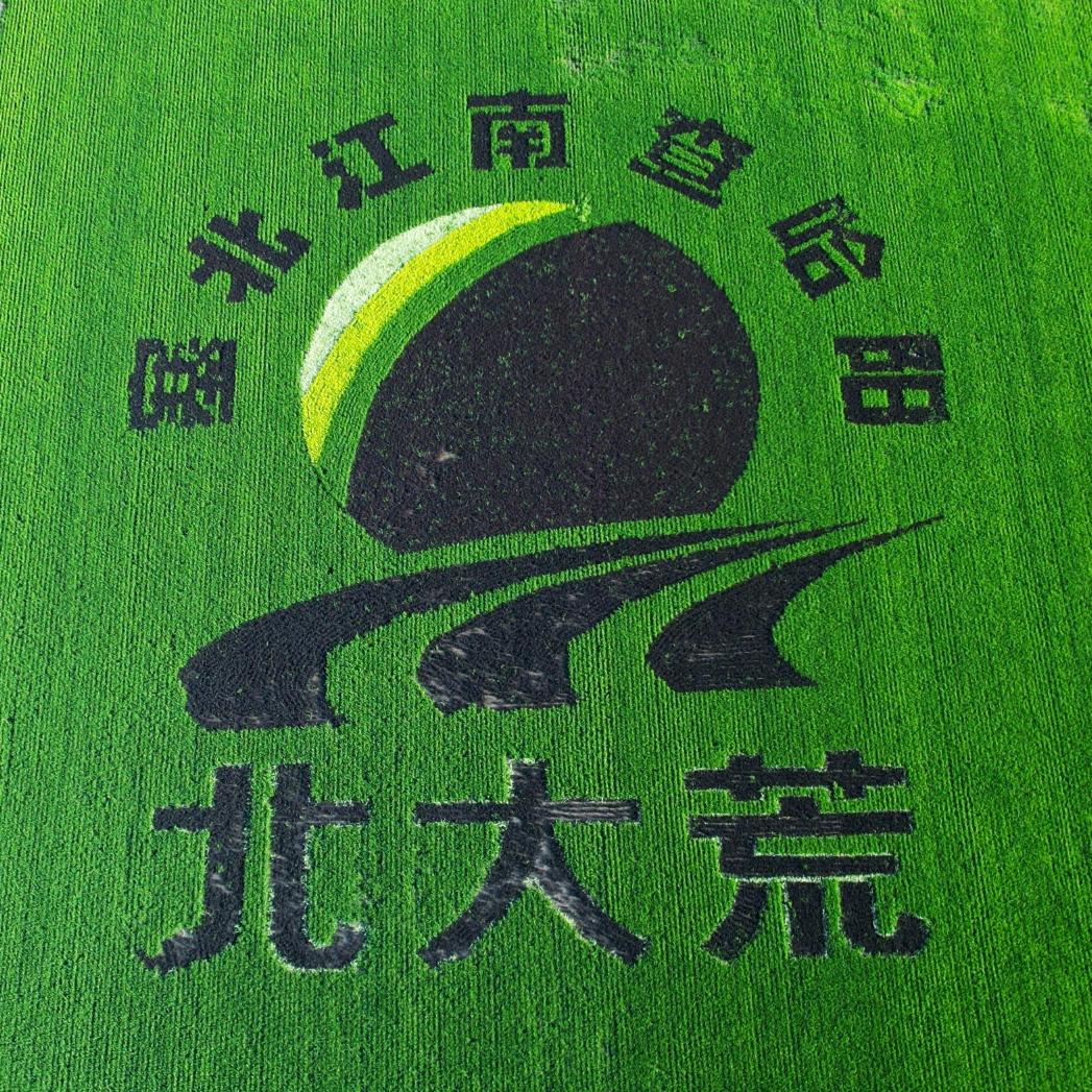 LI长春