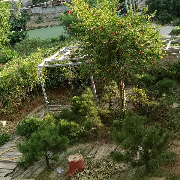 柯硕家