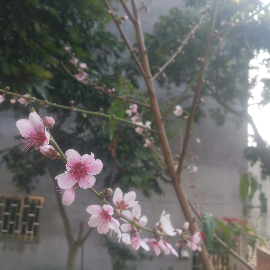我心依旧