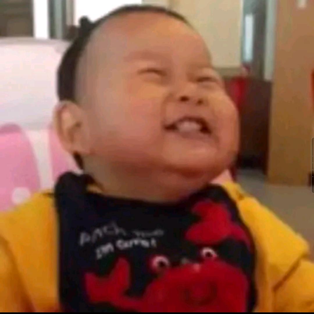 抖抖猪