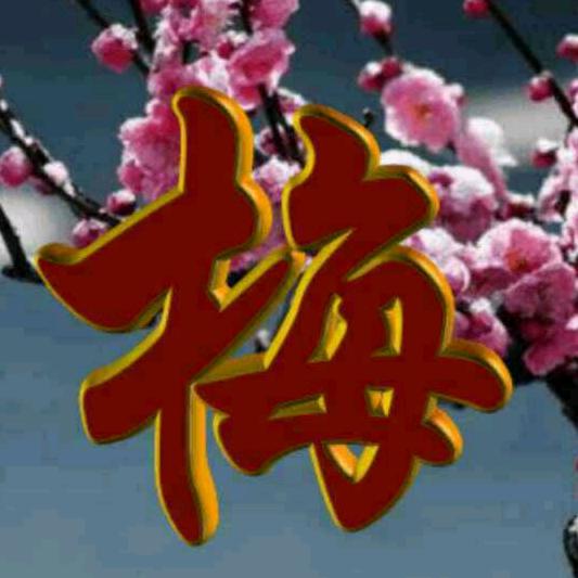 梅姐