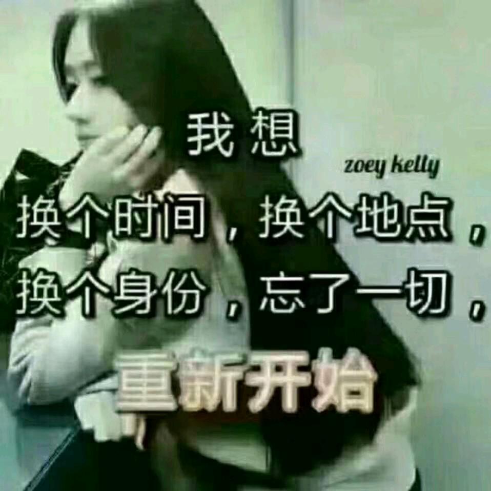 漂泊人生