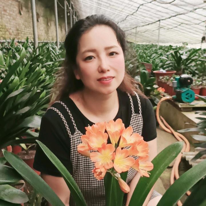 暖暖的精品君子兰