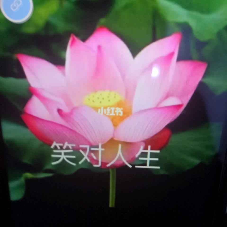 笑对人生(60年的鼠)
