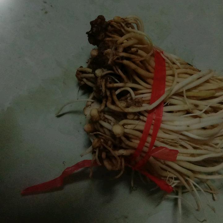 小玲