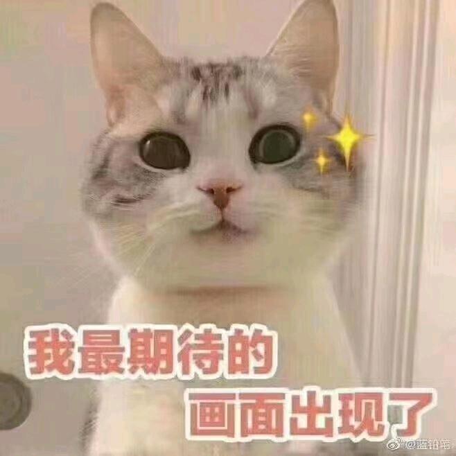 ʕ•̫͡•ོʔ•̫͡•ཻʕ•̫͡•ʔ芜茴