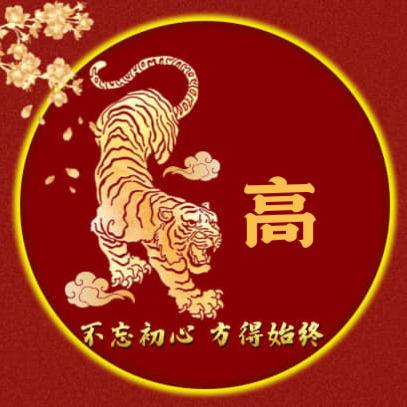 磊哥飞翔