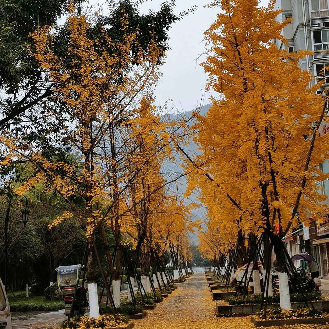 张官你代