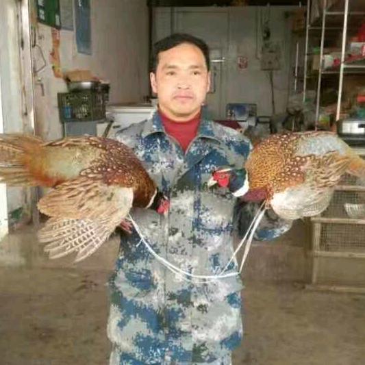 谭德银（护龙镇夹石村）