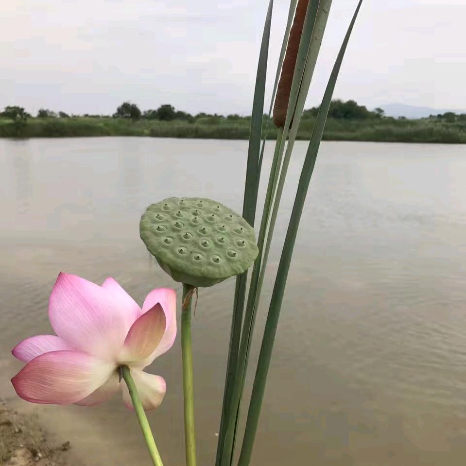 享受孤独