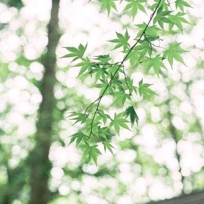 春天里～