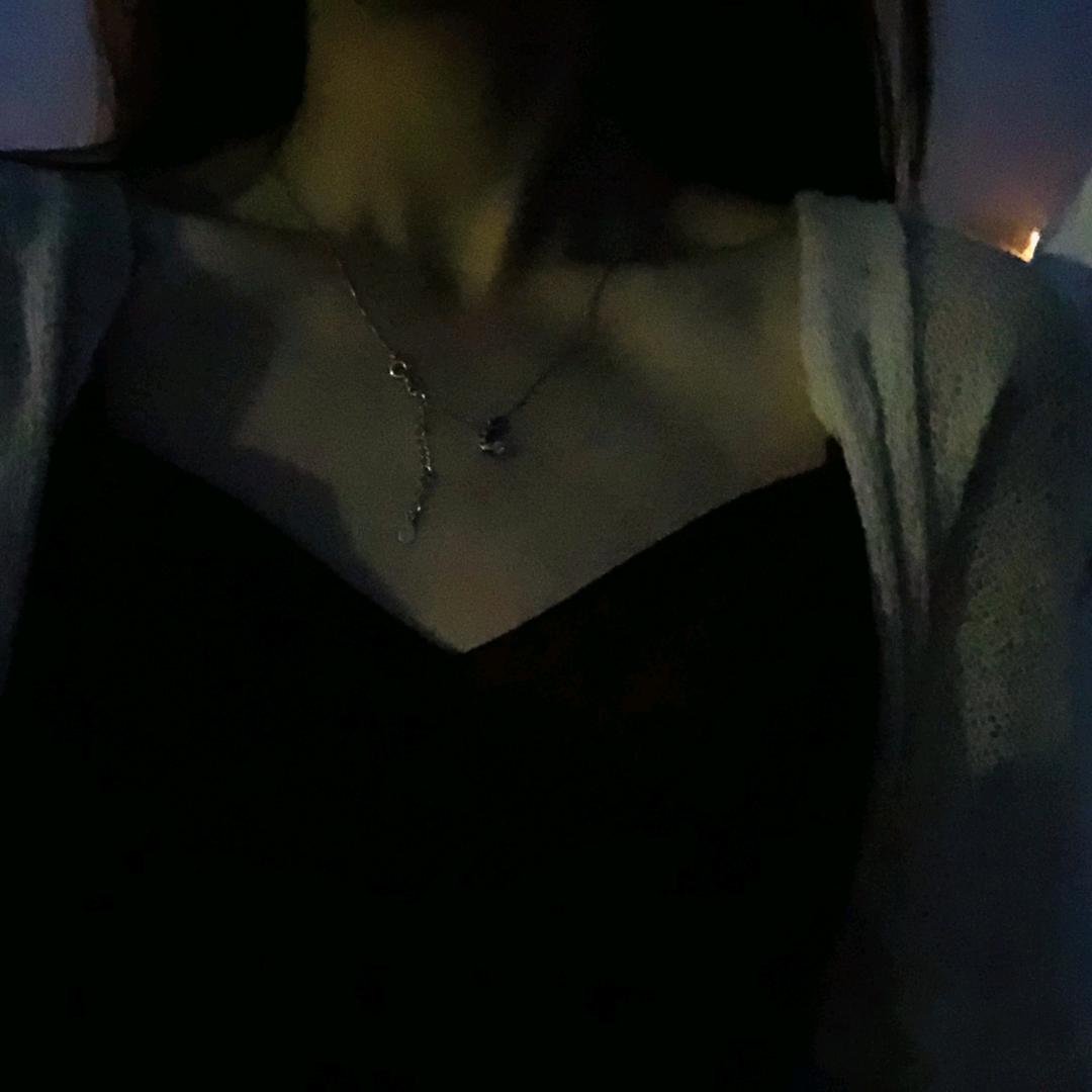 小马不在家