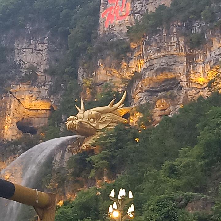 PLT好彭友-pt