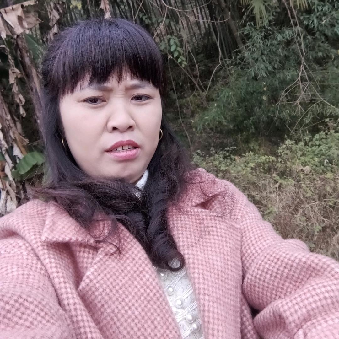 邹二姐