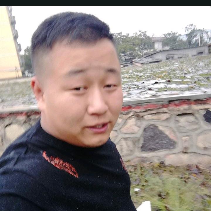 余生随心点