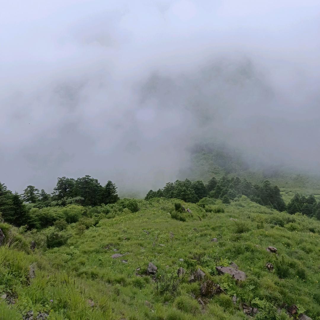 亮哥