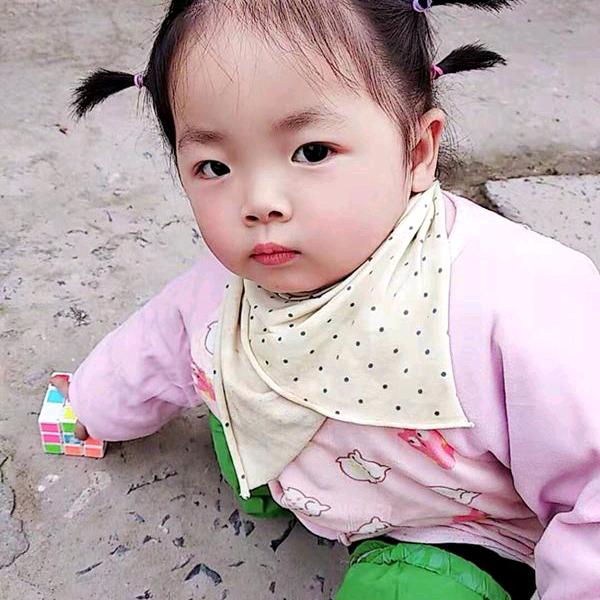 莲